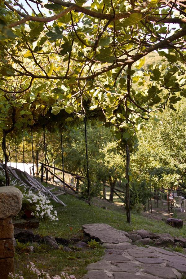 Borgo Casale Pensionat Albareto  Exteriör bild